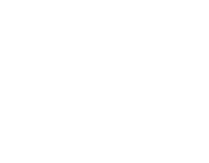 id-logo-white